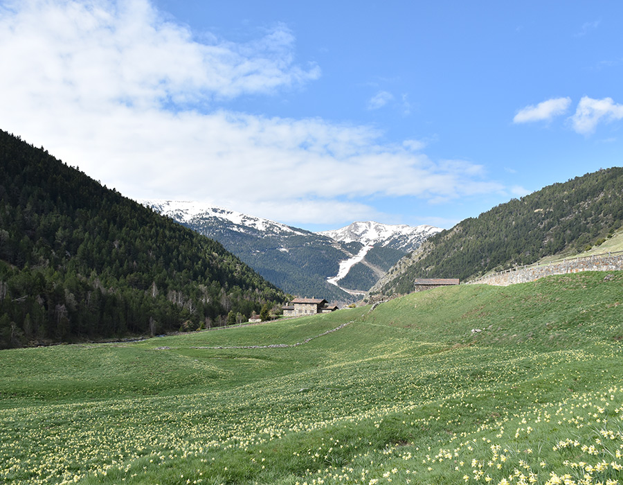 Wuau! Hotels Andorra Wuau! Hotels Andorra